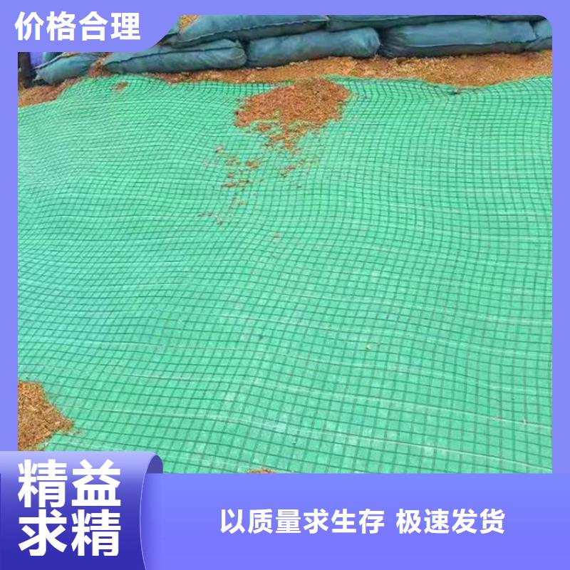 加筋抗沖生物毯-水保加筋植生毯