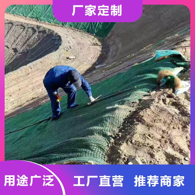 椰纖植生毯量大從優