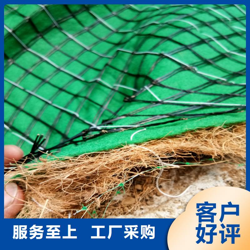 護坡植被植草毯-加筋抗沖生物毯