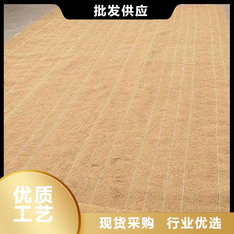椰纤植生毯-生态植草毯