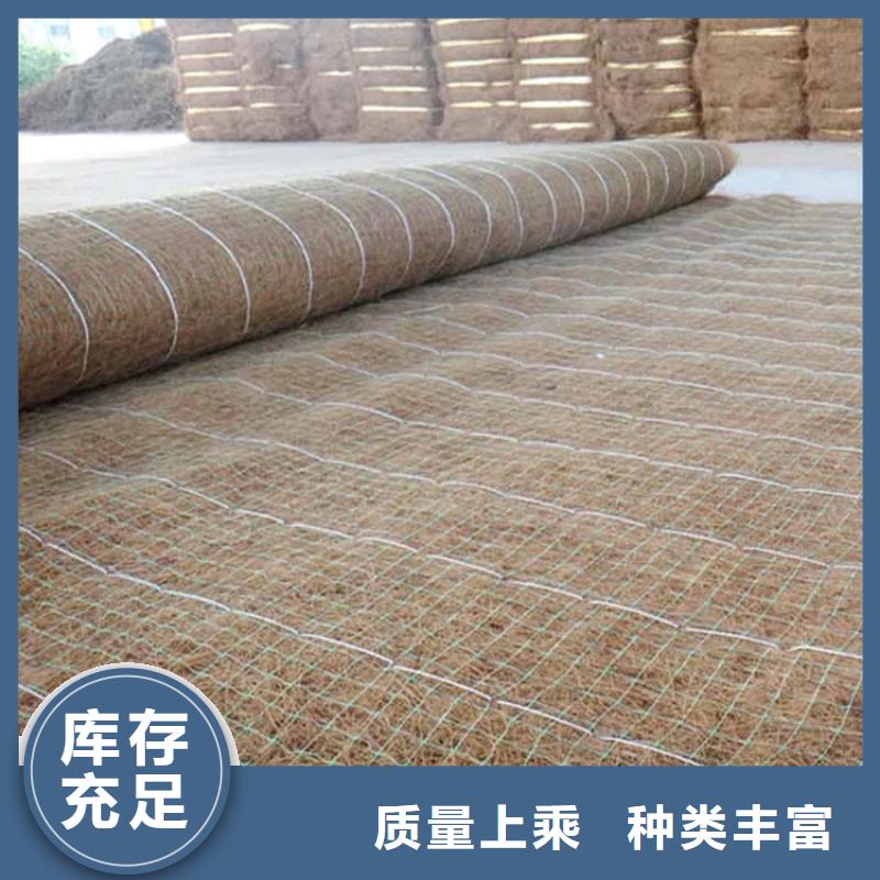 植生椰丝毯-植物生态防护毯-麻椰固土毯