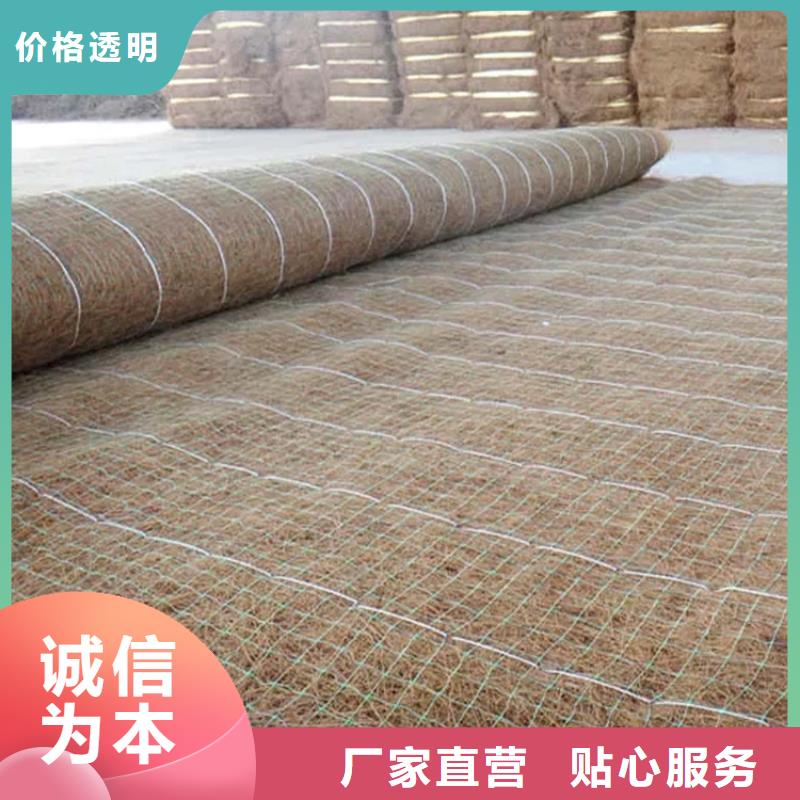 椰纤植生毯-护坡植被植草毯-抗冲刷生态毯