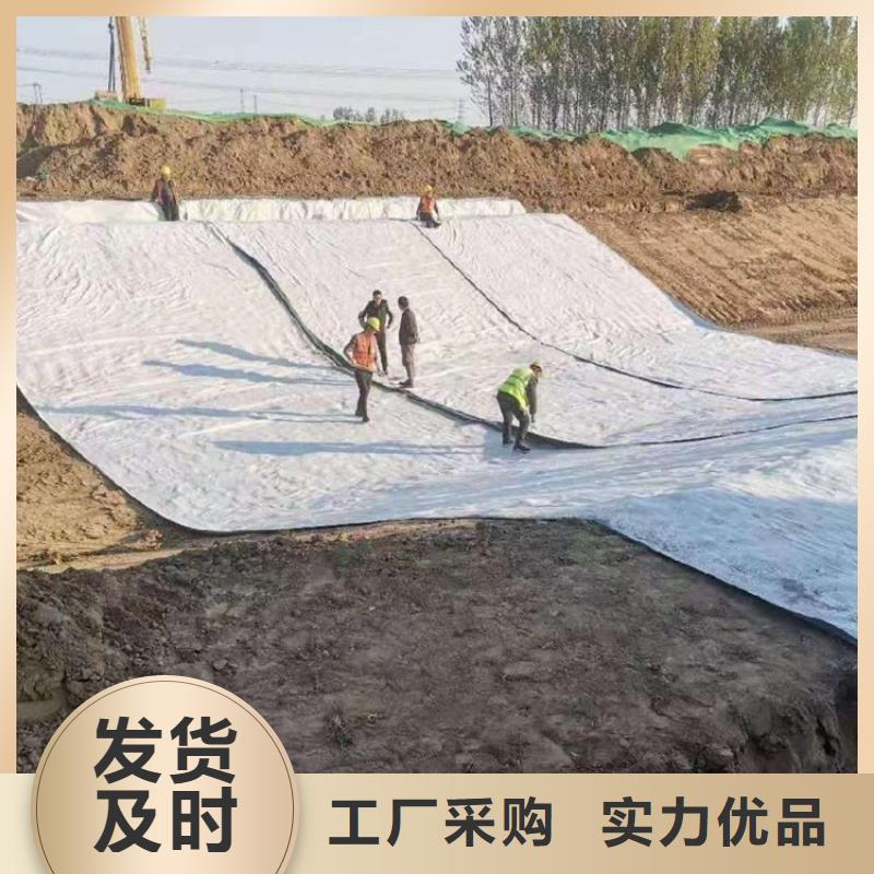 膨潤土防水毯玻纖格柵匠心制造