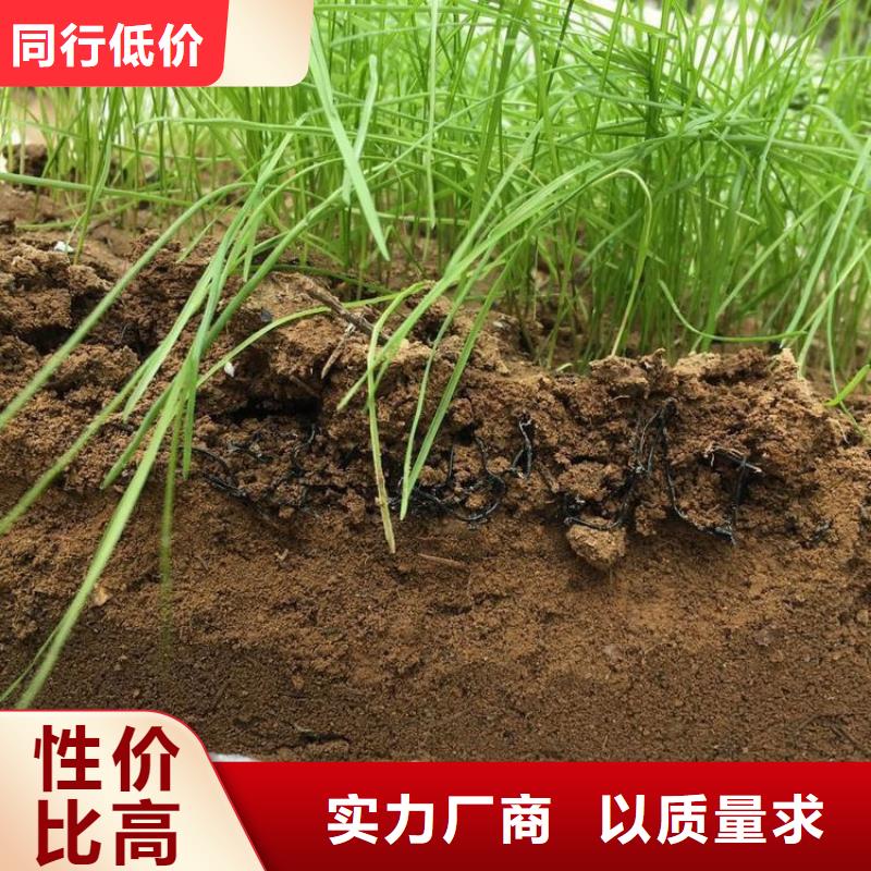 水土保護毯塑料土工格柵您身邊的廠家