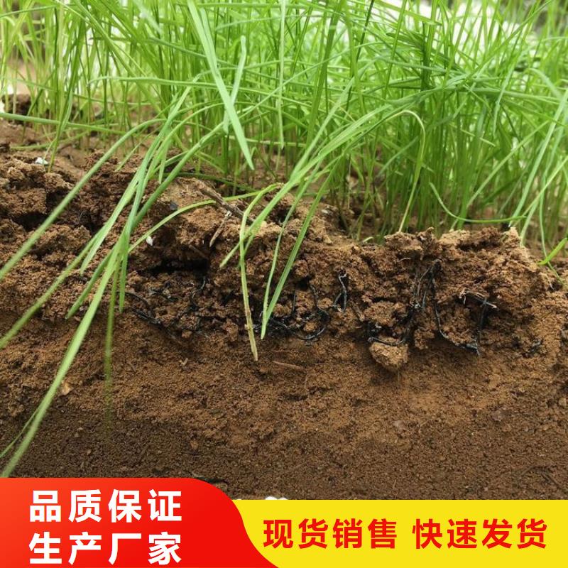 【水土保護毯鋼塑土工格柵精益求精】