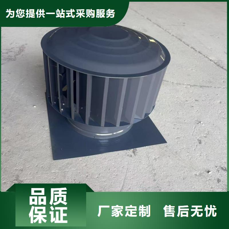 A系列直徑300BPS型風帽實體廠家