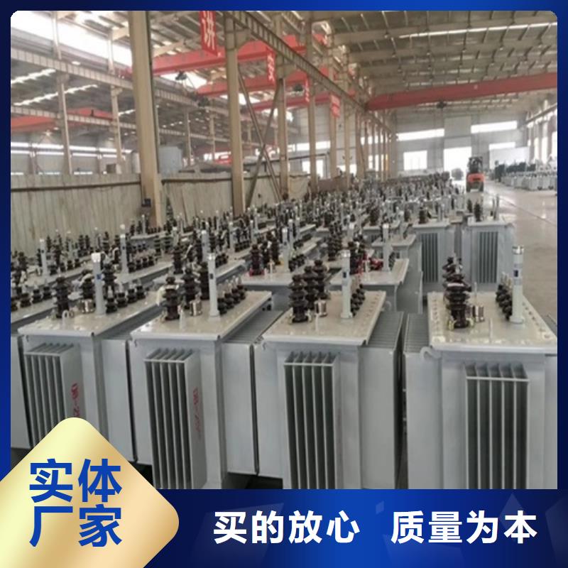 S11-250KVA/10KV/0.4KV油浸式變壓器施工團隊