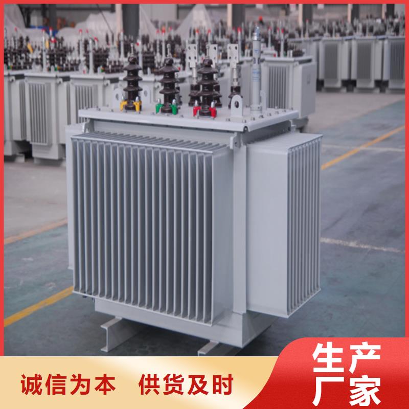 s11-m-160/10油浸式变压器可定制厂家