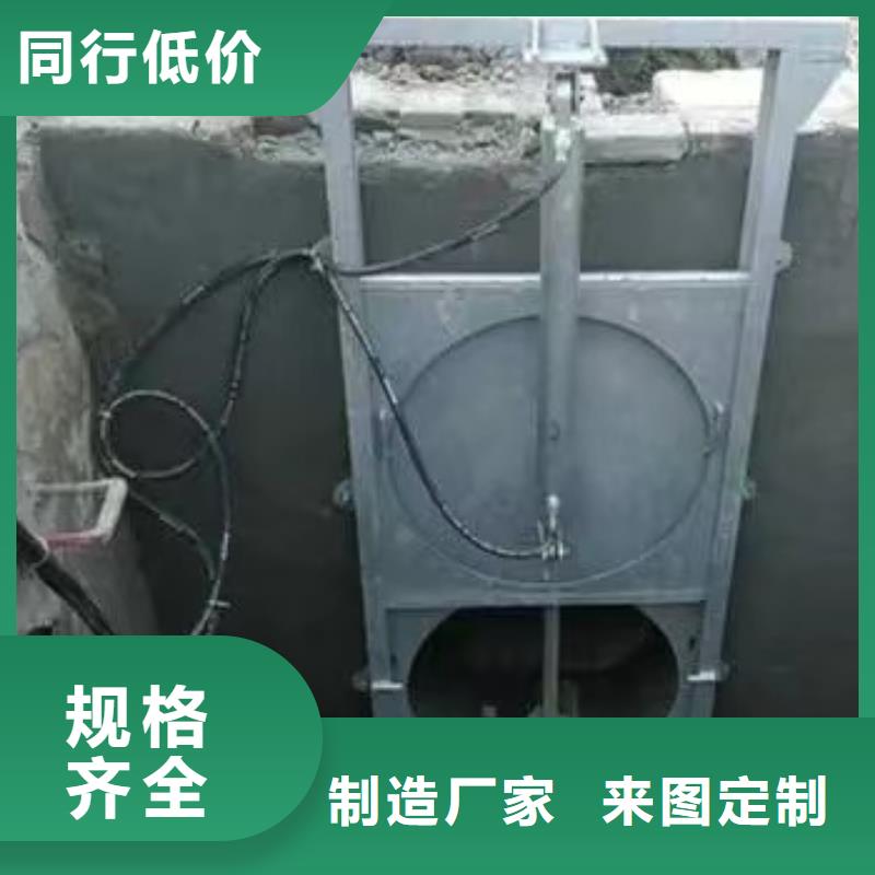 周边(瑞鑫)雨水污水泵站闸门价格透明