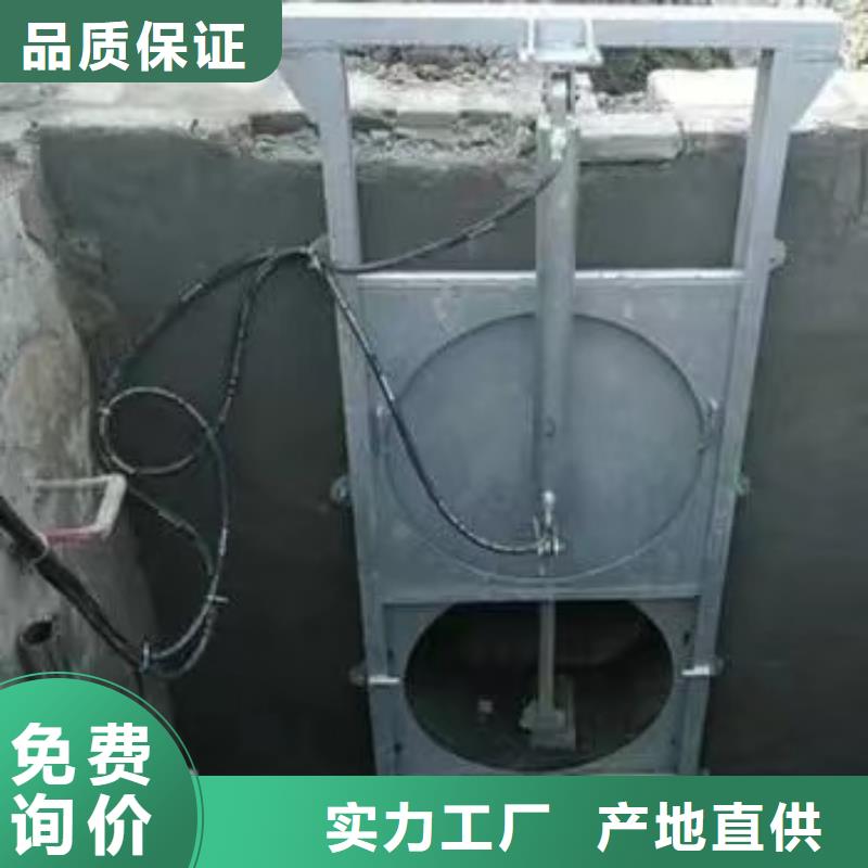 泵站污水闸门
