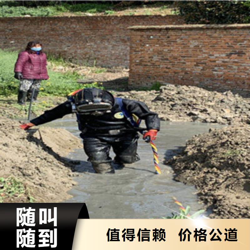 潜水服务公司【本地潜水搜索团队】匠心品质