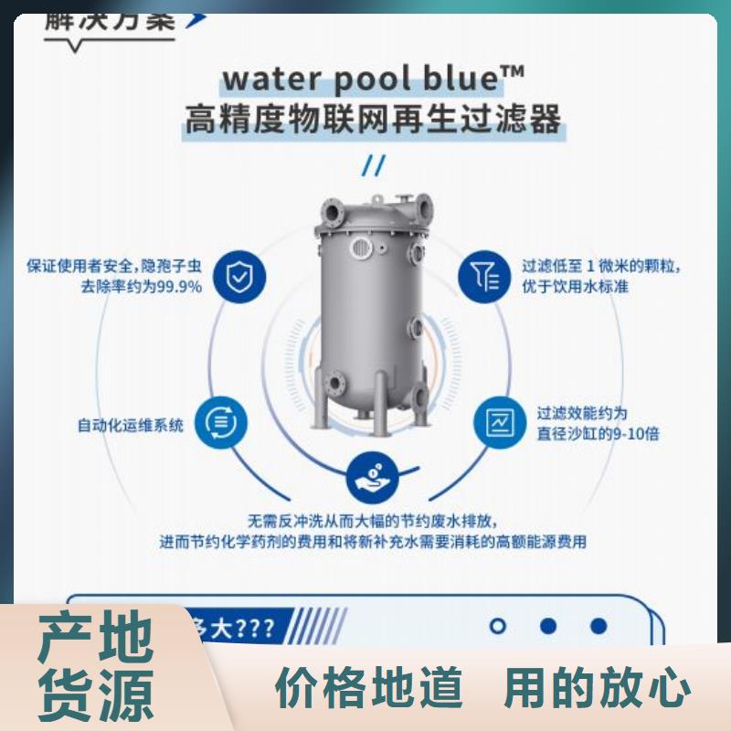 本土水浦蓝半标泳池循环再生介质滤缸
