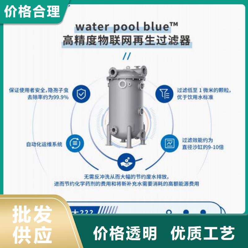 过滤器陕西省符合行业标准(水浦蓝)宁强县再生介质设备厂家