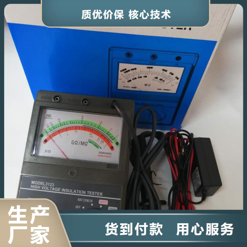 絕緣電阻測試儀錄波分析儀廠家自營