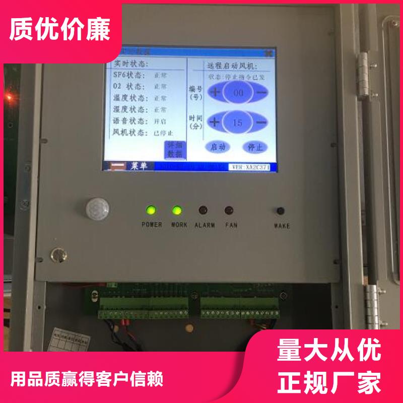 六氟化硫气体检漏仪工厂直销