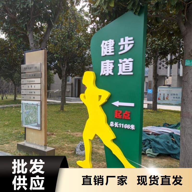 智慧體育公園廠家（維艾狄爾）