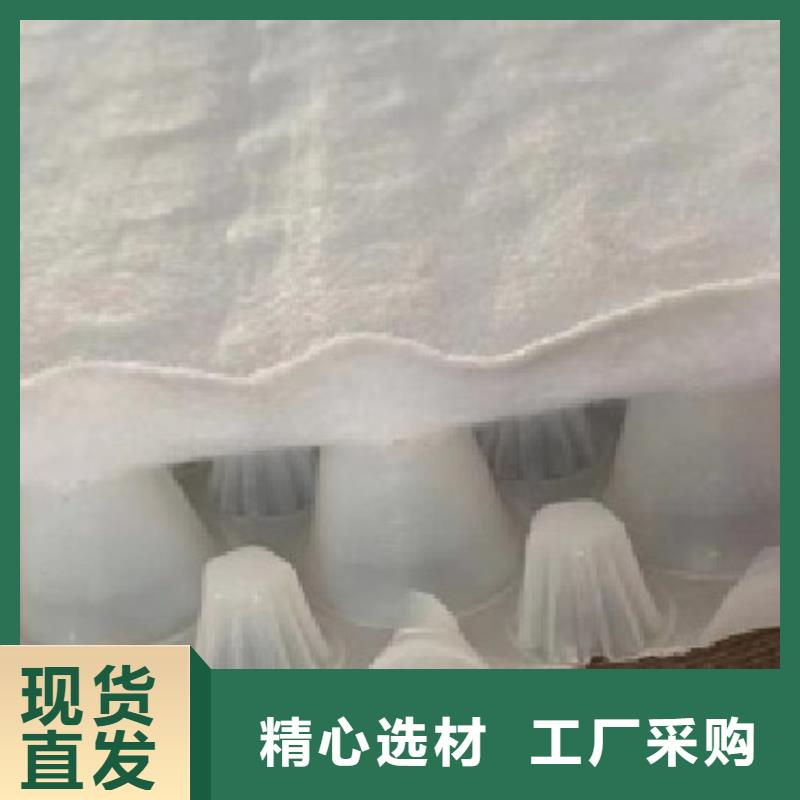 防护虹吸排水收集系统定制