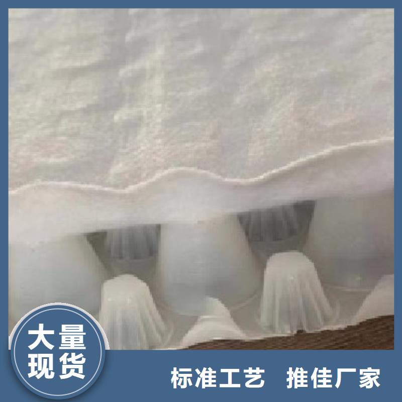 【虹吸排水植草格一手貨源源頭廠家】