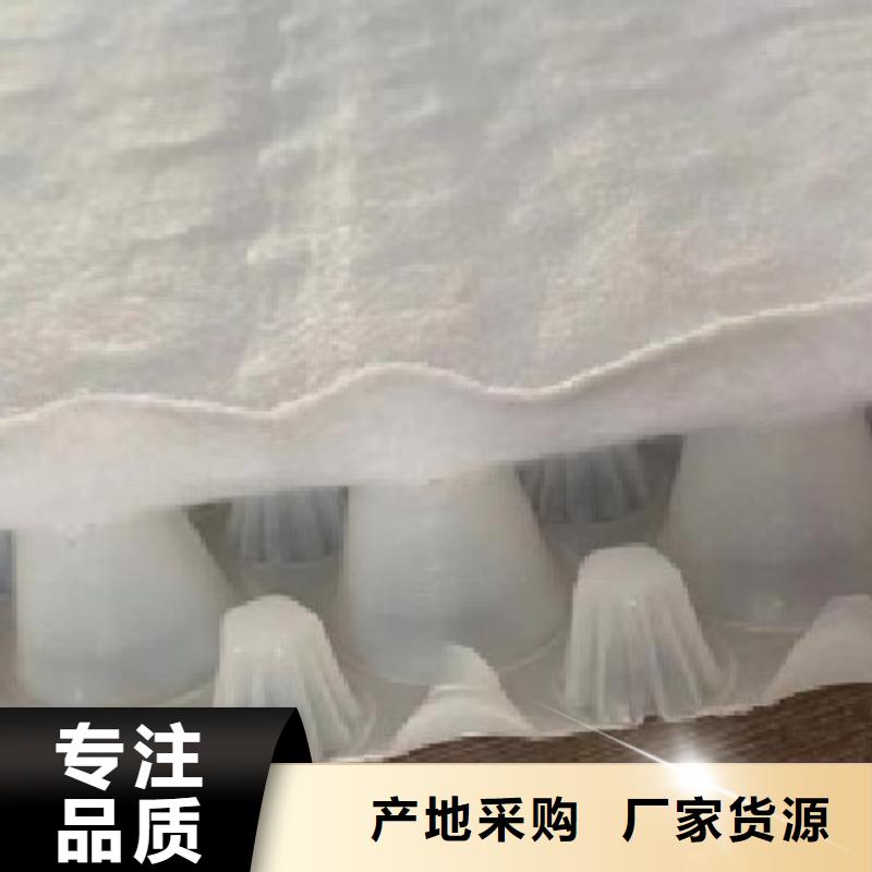 防护虹吸排水收集系统价格