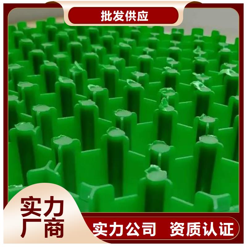 植草格排水板品質(zhì)保障價(jià)格合理