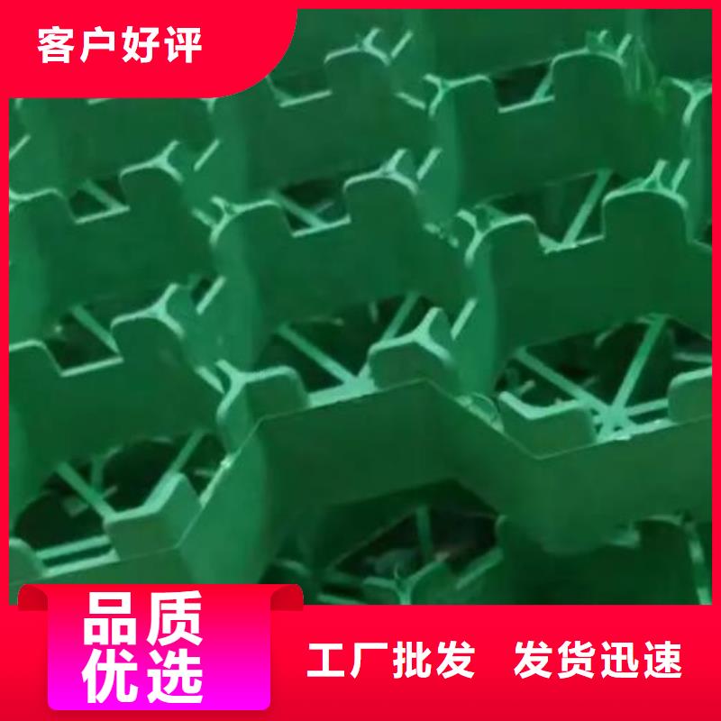 【植草格】-防護虹吸排水收集系統(tǒng)廠家質(zhì)量過硬