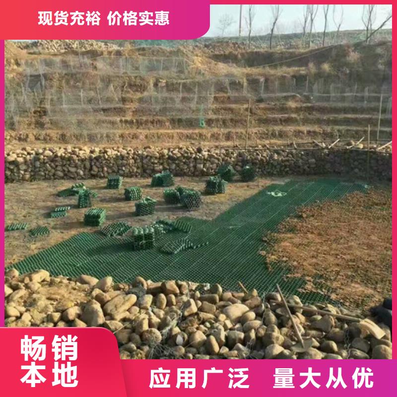 塑料植草格本地廠家