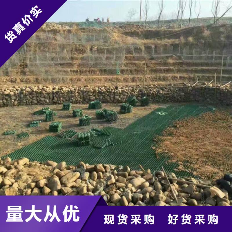 塑料植草格-本地工廠