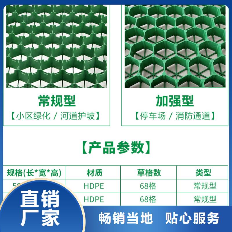 塑料植草格批发-行情价