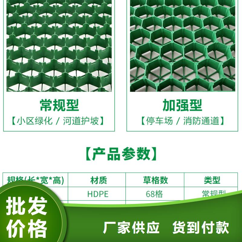 塑料植草格2024新行情价