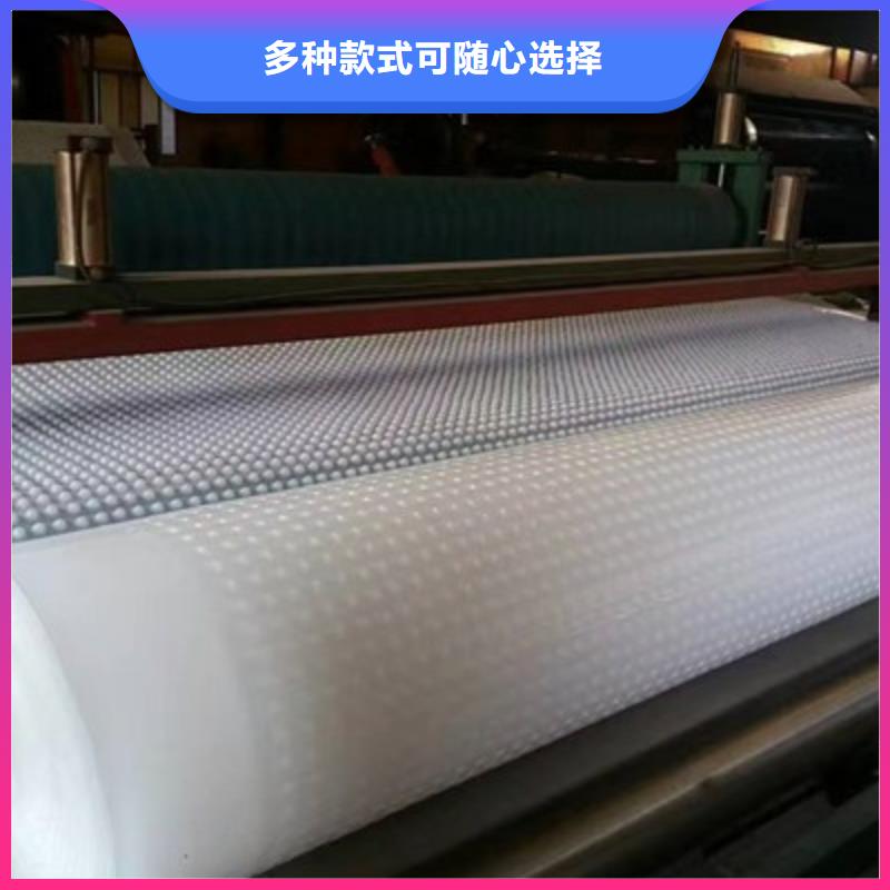 【 塑料排水板_ 植草格质量好】同城经销商