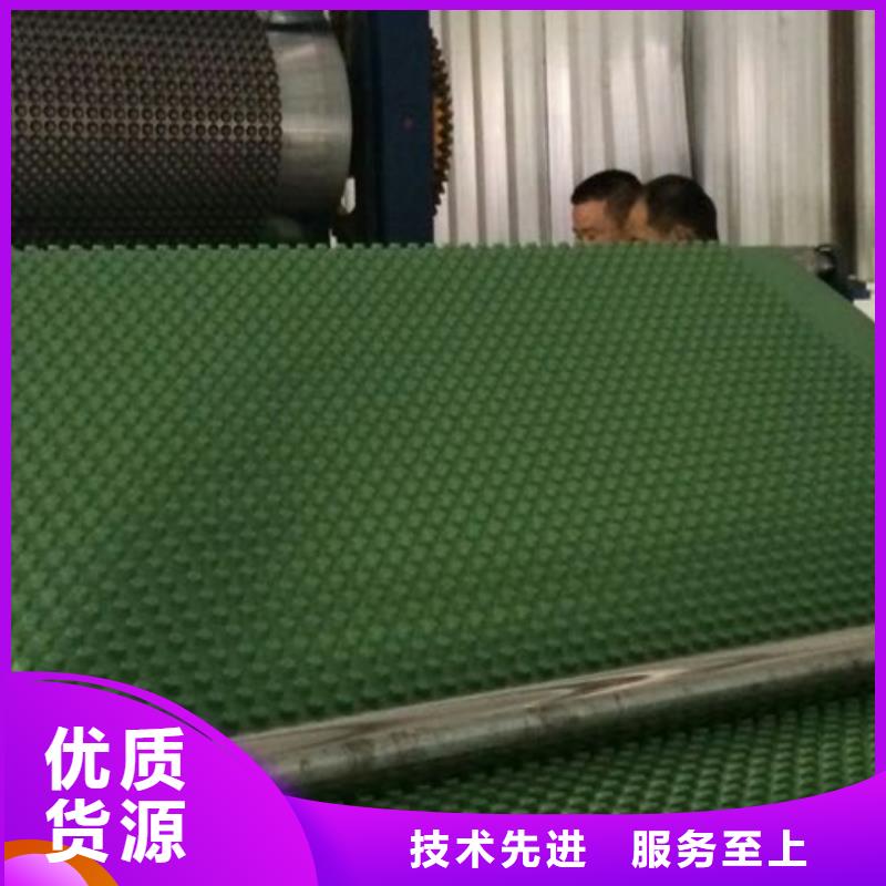 【塑料排水板】_水泥化粪池厂家实力雄厚_朋联工程材料(那曲市分公司)