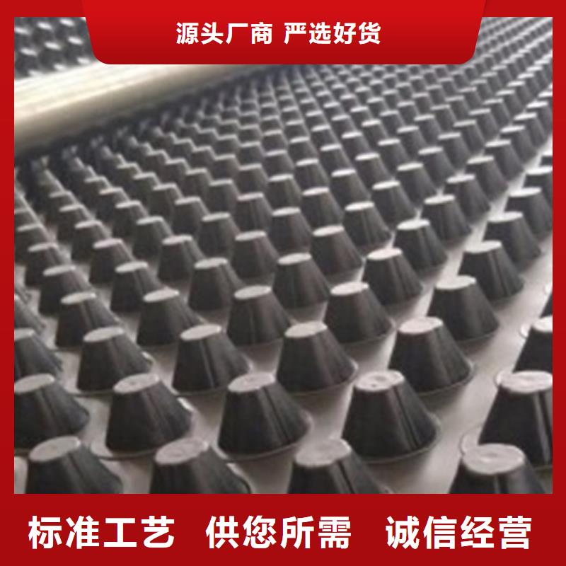 塑料排水板放心購買