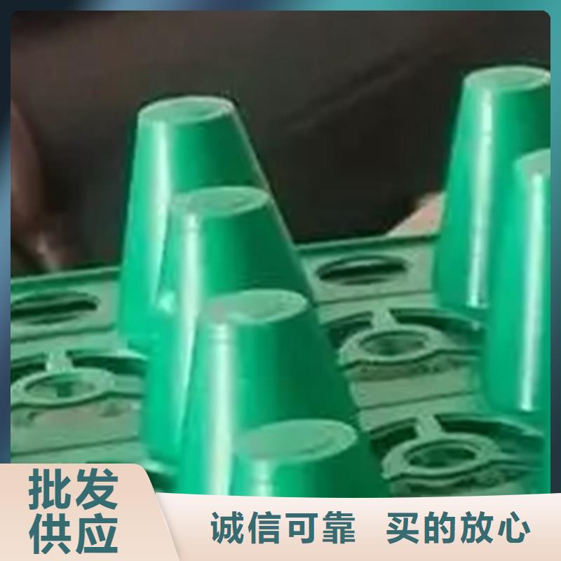 【 塑料排水板_ 植草格质量好】同城经销商