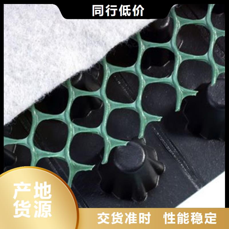【塑料排水板】_水泥化粪池厂家实力雄厚_朋联工程材料(那曲市分公司)