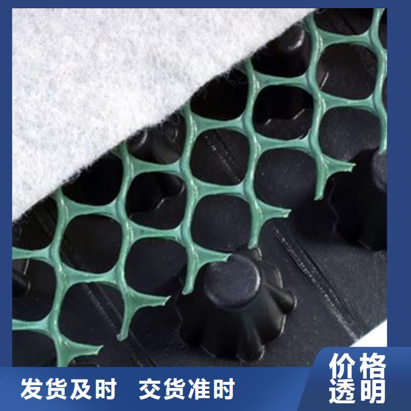 【 塑料排水板_ 植草格质量好】同城经销商