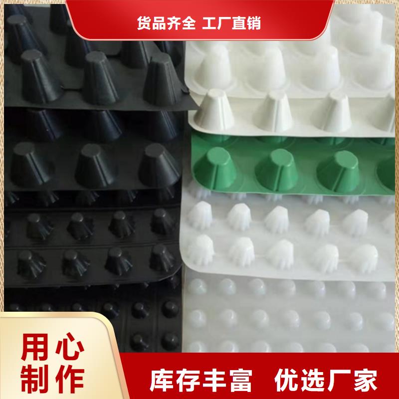 【 塑料排水板_ 植草格质量好】同城经销商