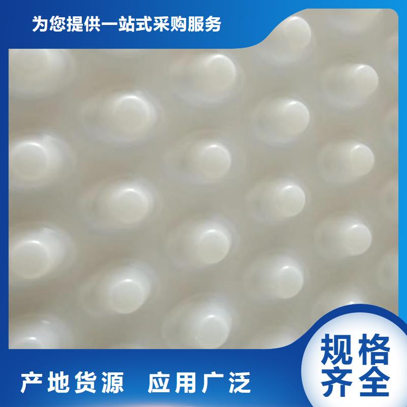 塑料排水板性價比高