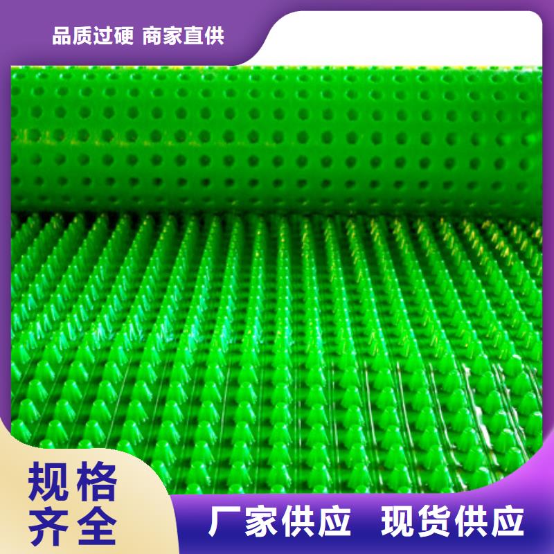 【塑料排水板】_水泥化粪池厂家实力雄厚_朋联工程材料(那曲市分公司)