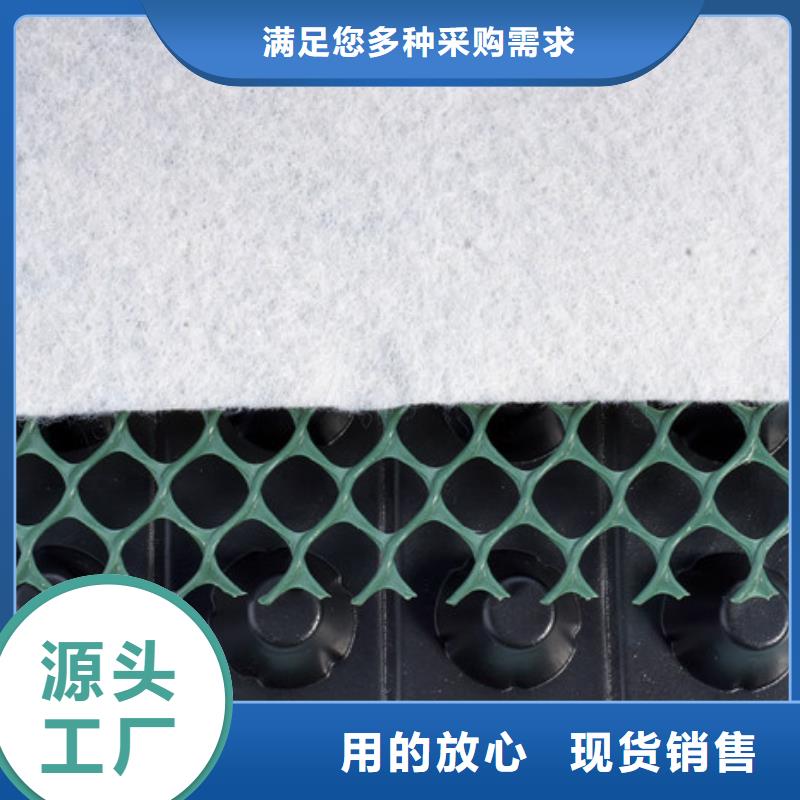 【 塑料排水板_ 植草格质量好】同城经销商