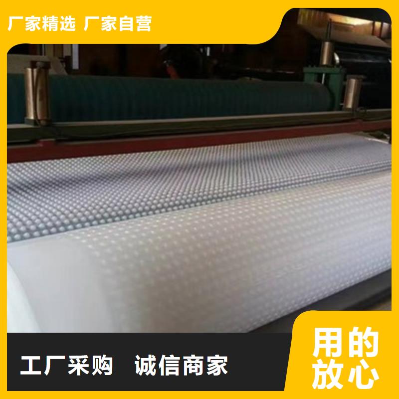 【 塑料排水板_ 植草格质量好】同城经销商