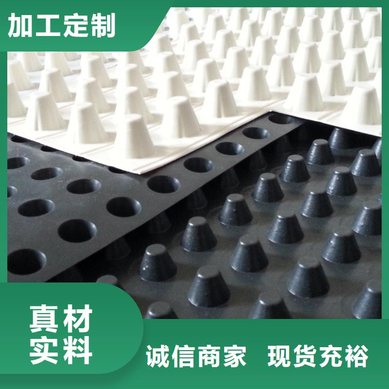 【 塑料排水板_ 植草格质量好】同城经销商