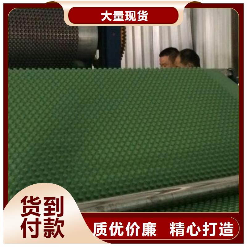 排水板工厂直销