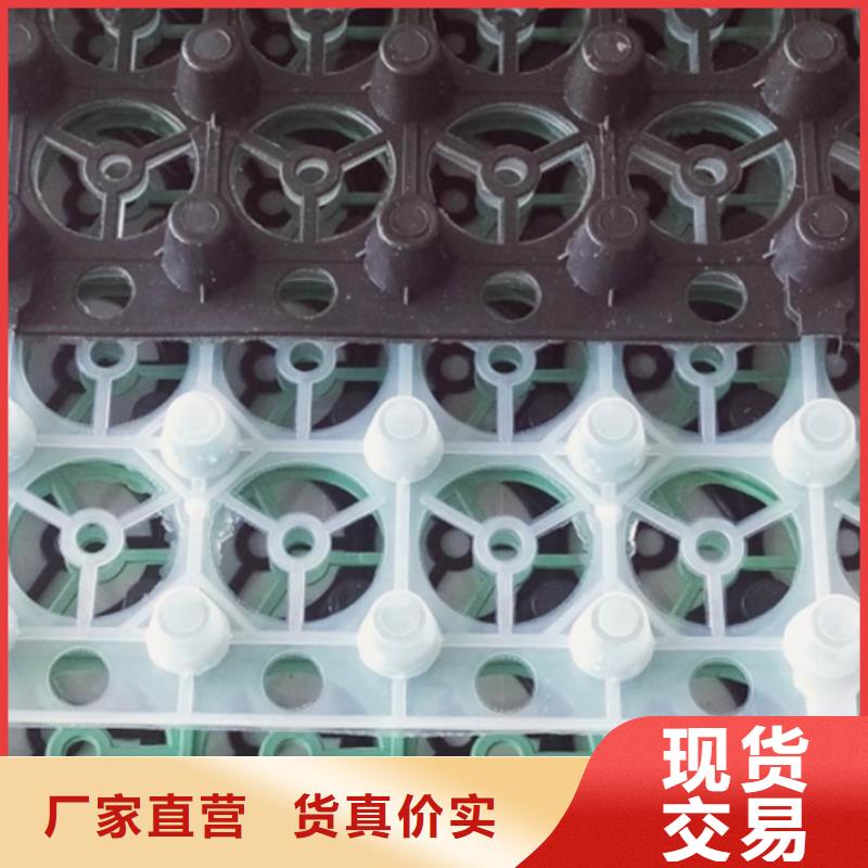 塑料排水板放心购买