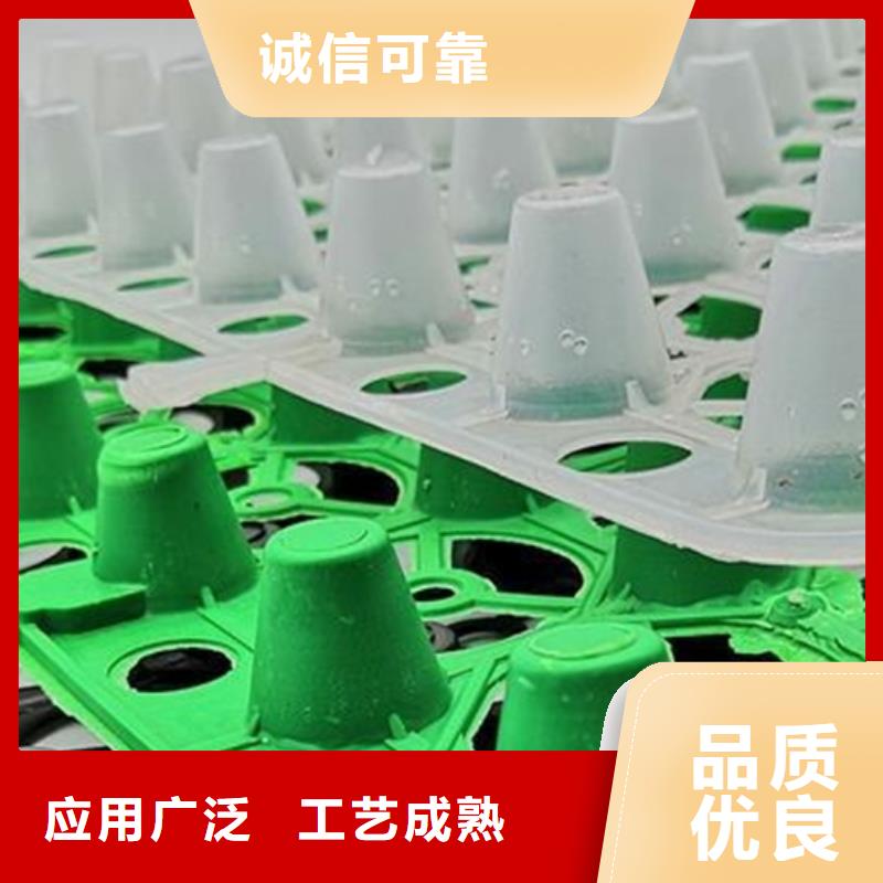 排水板施工團隊
