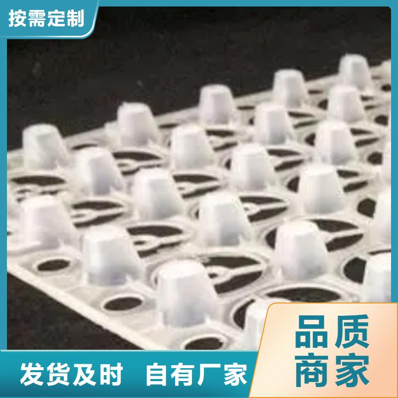 塑料排水板性價比高
