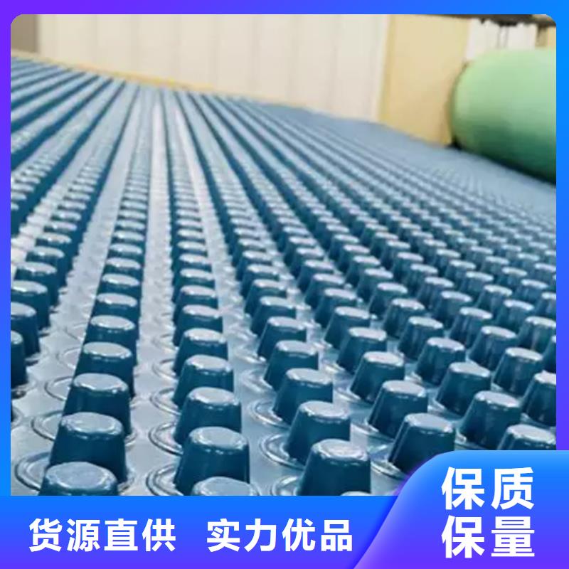 排水板施工團隊