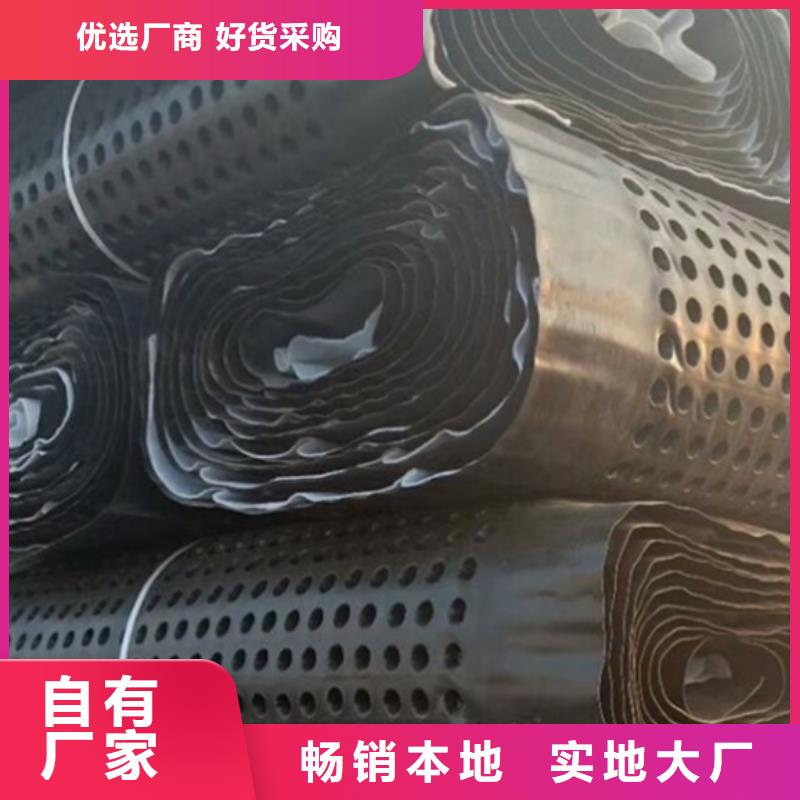 【 塑料排水板_ 植草格质量好】同城经销商