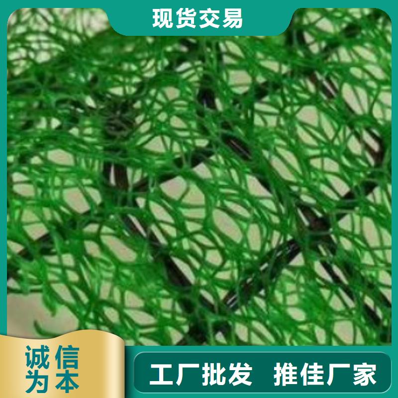 三維植被網#朋聯工程