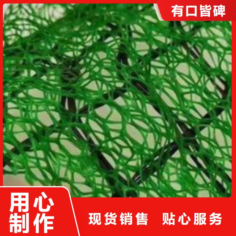 三維植被網(wǎng)排水板專業(yè)生產(chǎn)N年