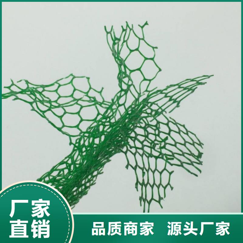 三維植被網(wǎng)-防護(hù)虹吸排水收集系統(tǒng)出貨快